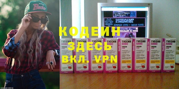 прущий лед Алзамай
