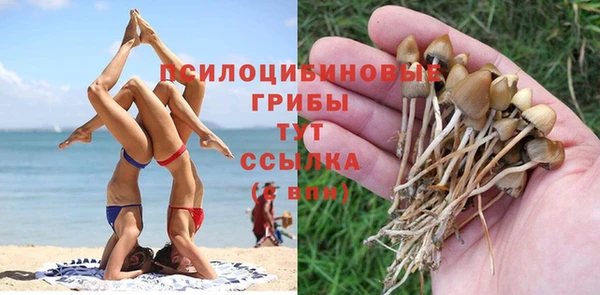 скорость Алексеевка