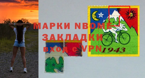 прущий лед Алзамай