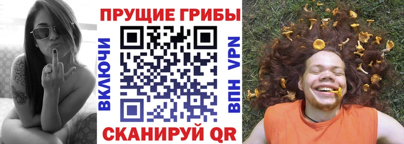 купить наркотики сайты Лаишево Галлюциногенные грибы прущие грибы
